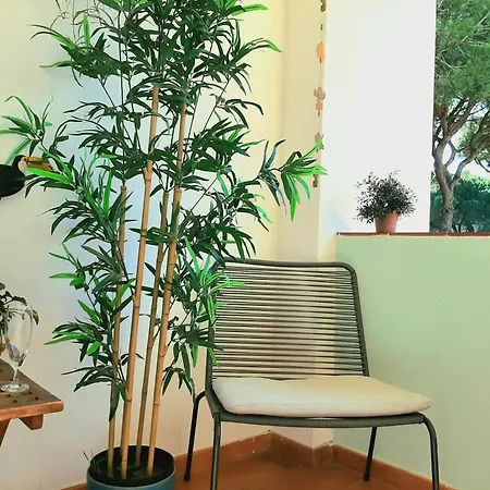 Appartement Amalia