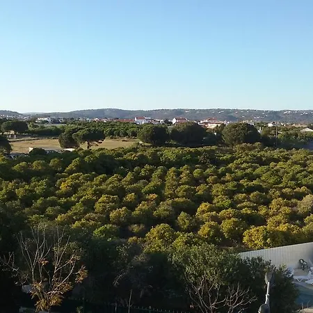 Διαμέρισμα Amalia Αλμπουφέιρα